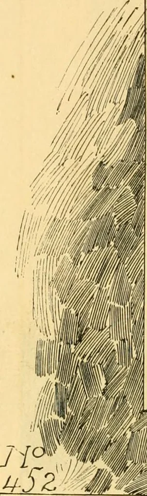 An illustration from Church metal work., 1887, leaf 53