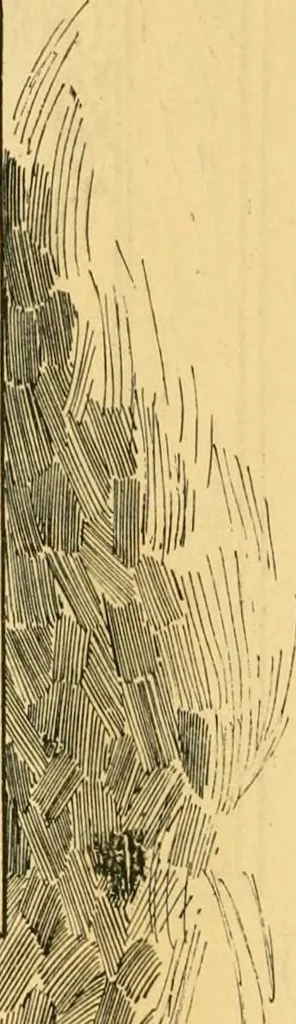An illustration from Church metal work., 1887, leaf 53