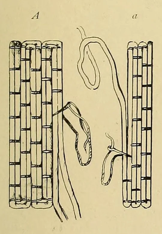 An illustration from Church needlework; a manual of practical instruction, 1907, leaf 25