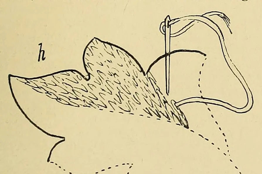 An illustration from Church needlework; a manual of practical instruction, 1907, leaf 33