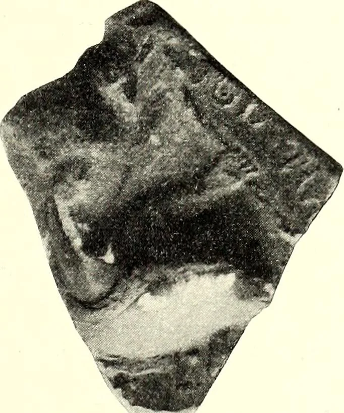 An illustration from The church of S. Maria antiqua, 1902, leaf 192