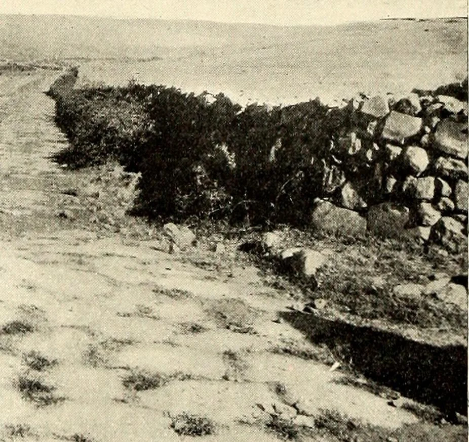 An illustration from The church of S. Maria antiqua, 1902, leaf 219