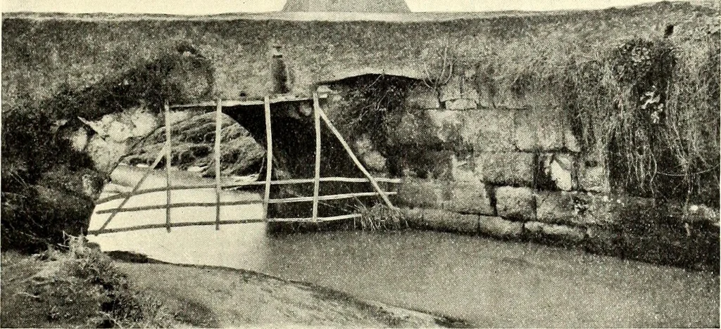 An illustration from The church of S. Maria antiqua, 1902, leaf 252