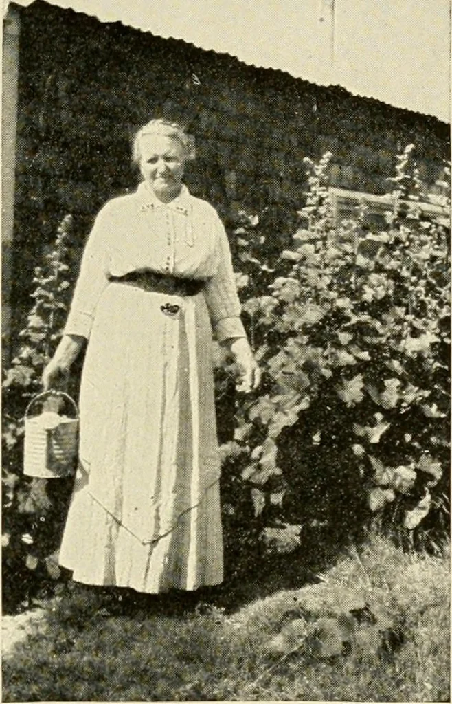 An illustration from The church on the changing frontier; a study of the homesteader and his church, 1922, leaf 106