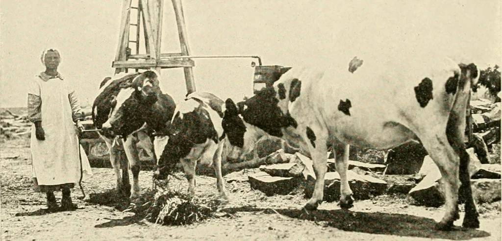 An illustration from The church on the changing frontier; a study of the homesteader and his church, 1922, leaf 109