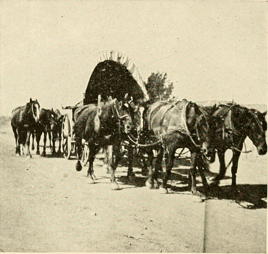 An illustration from The church on the changing frontier; a study of the homesteader and his church, 1922, leaf 111