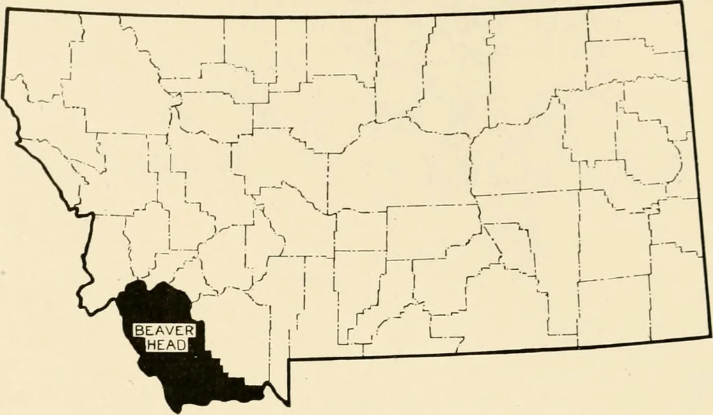 An illustration from The church on the changing frontier; a study of the homesteader and his church, 1922, leaf 23