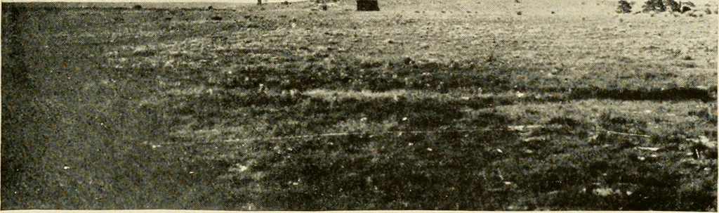 An illustration from The church on the changing frontier; a study of the homesteader and his church, 1922, leaf 28