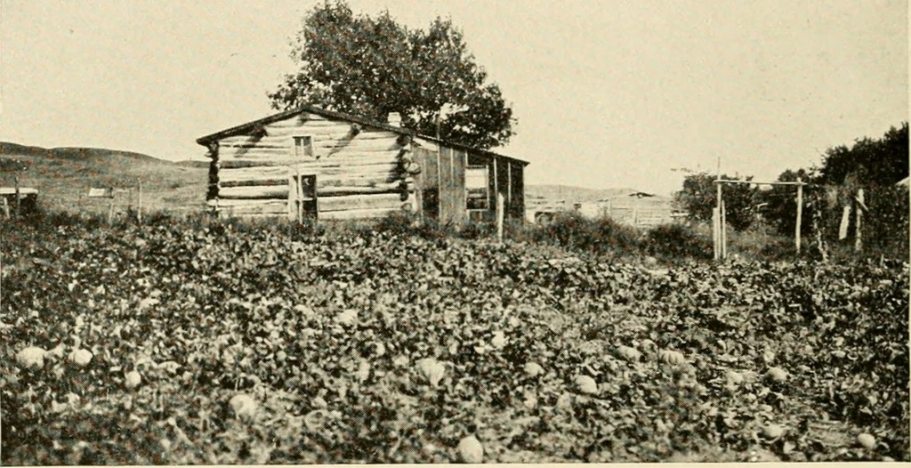 An illustration from The church on the changing frontier; a study of the homesteader and his church, 1922, leaf 47
