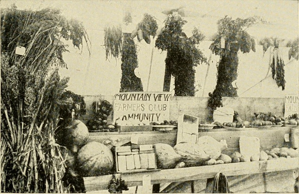 An illustration from The church on the changing frontier; a study of the homesteader and his church, 1922, leaf 48