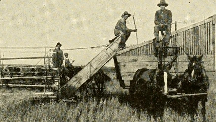 An illustration from The church on the changing frontier; a study of the homesteader and his church, 1922, leaf 50