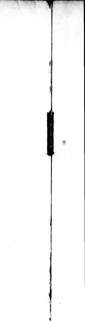 An illustration from The Grand Parada [microform] : for the benefit of Horticultural Association, St. John, N.B, 1897, leaf 5