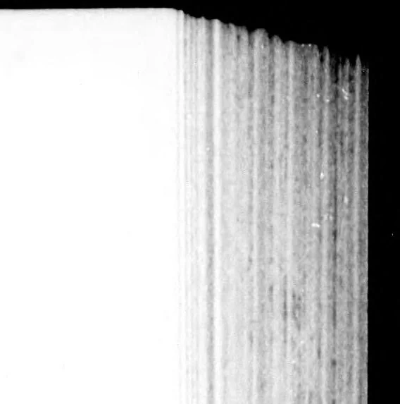 An illustration from Froebel's educational laws for all teachers [microform], 1897, leaf 85