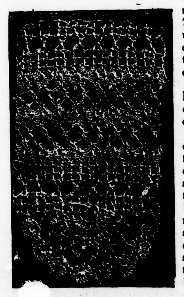 An illustration from Home work [microform] : a choice collection of useful designs for the crochet and knitting needle : also, valuable recipes for the toilet, 1891, leaf 115