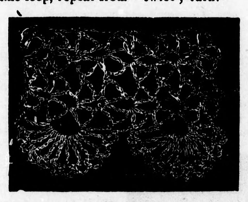 An illustration from Home work [microform] : a choice collection of useful designs for the crochet and knitting needle : also, valuable recipes for the toilet, 1891, leaf 44