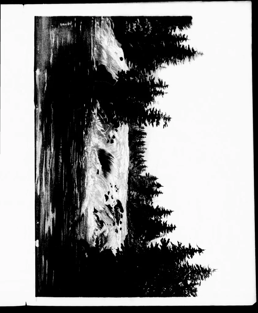 An illustration from The progressive art guide (without a teacher) [microform] : an entirely new method of self-instruction on modern arts, shown in their progressive stages of completion, 1888, leaf 55