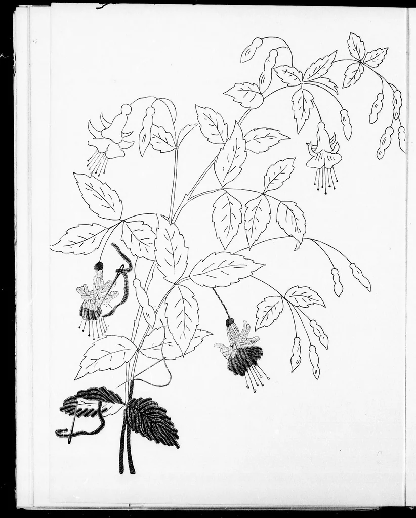 An illustration from The progressive art guide (without a teacher) [microform] : an entirely new method of self-instruction on modern arts, shown in their progressive stages of completion, 1888, leaf 117