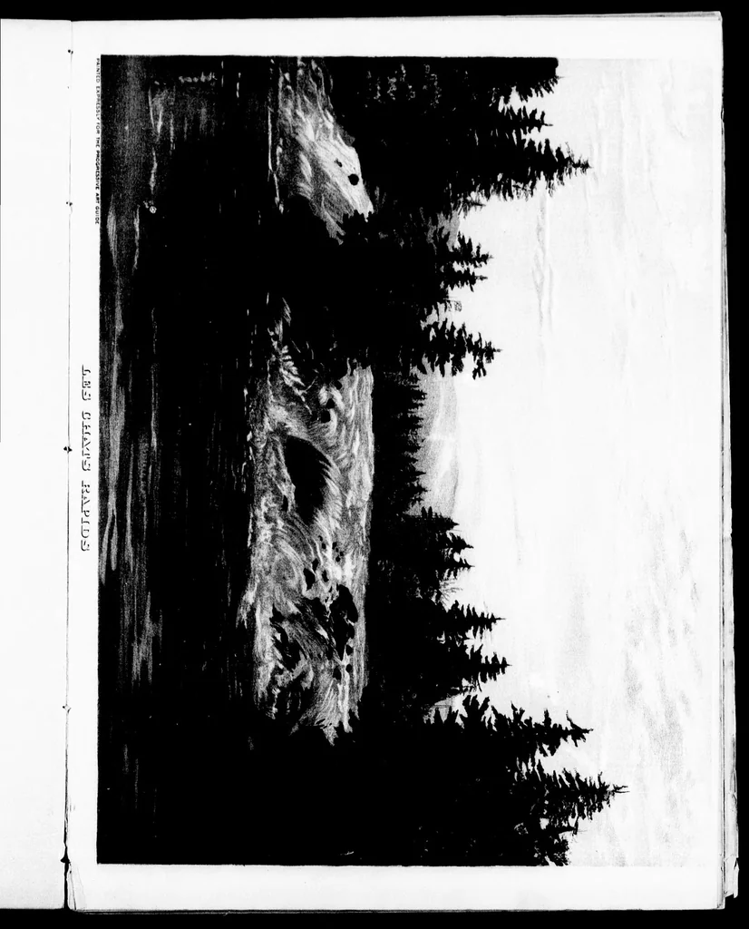 An illustration from The progressive art guide (without a teacher) [microform] : an entirely new method of self-instruction on modern arts, shown in their progressive stages of completion, 1888, leaf 53