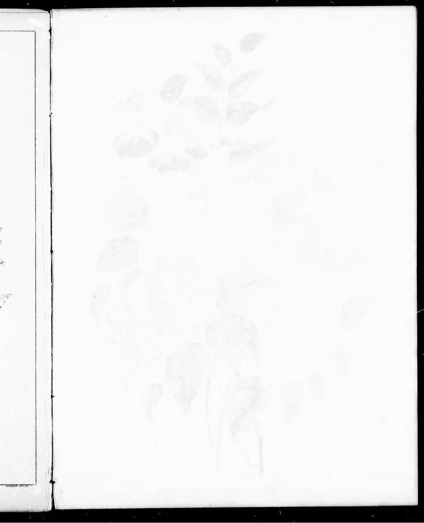An illustration from The progressive art guide (without a teacher) [microform] : an entirely new method of self-instruction on modern arts, shown in their progressive stages of completion, 1888, leaf 85