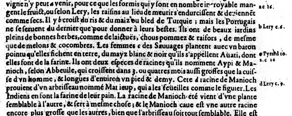 An illustration from Description générale de [sic] Amérique, troisième partie du monde [microforme] : auec tous ses empires, royaumes, estats, et républiques : où sont déduits & traictez par ordre leurs noms, assiette, confins, moeurs, richesses, forces, gouuernement & religion; et la généalogie des empereurs, roys, & princes souuerains, lesquels y ont dominé iusques à nostre temps, 1643, leaf 128