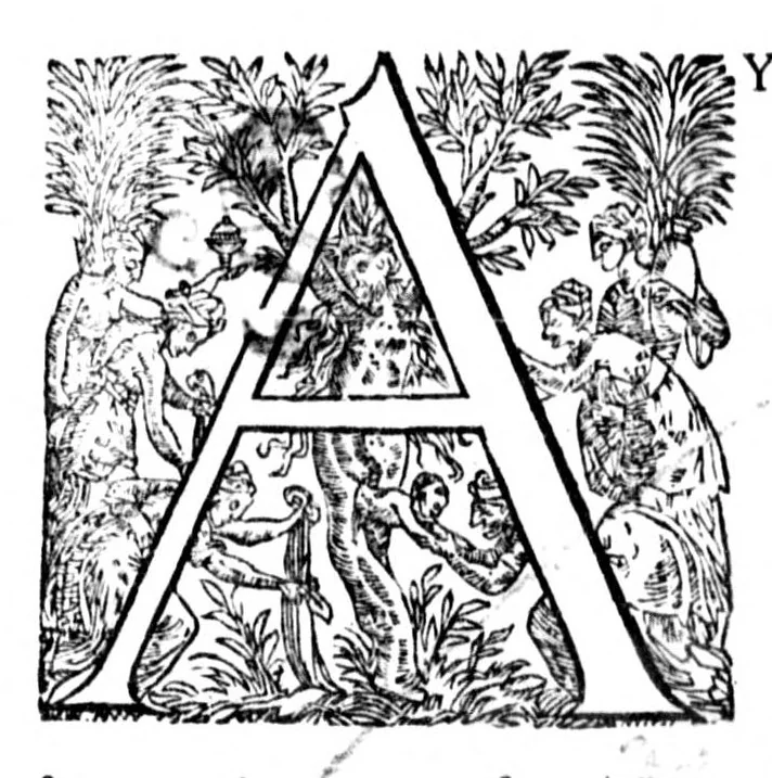 An illustration from La mecographie de l'Eymant [microforme] : c'est a dire, la description des longitudes trouvées par les observations des declinaisons de l'Eymant en laquelle par un moyen trescertain, & cy devant incognu ..., 1604, leaf 283