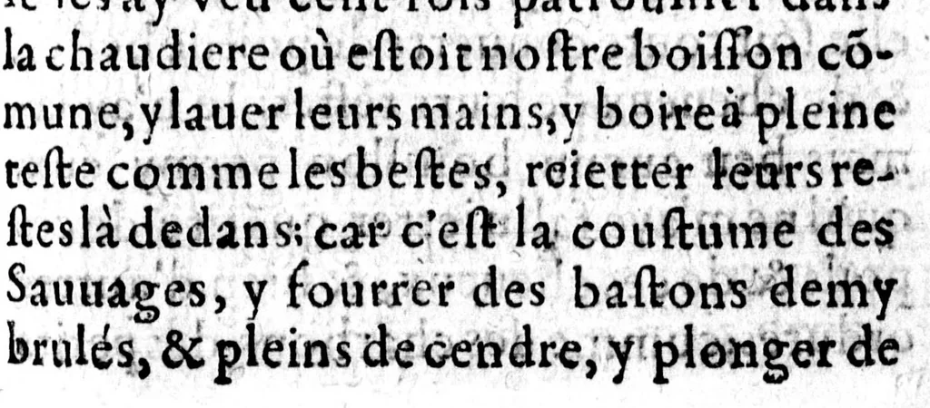 An illustration from Relation de ce qui s'est passé en la Nouvelle France, en l'année 1634 [microforme] : envoyée au R. Pere provincial de la Compagnie de Jesus, en la province de France par le P. Paul le Jeune de la mesme compagnie, superieur de la residence de Kebec, 1635, leaf 137
