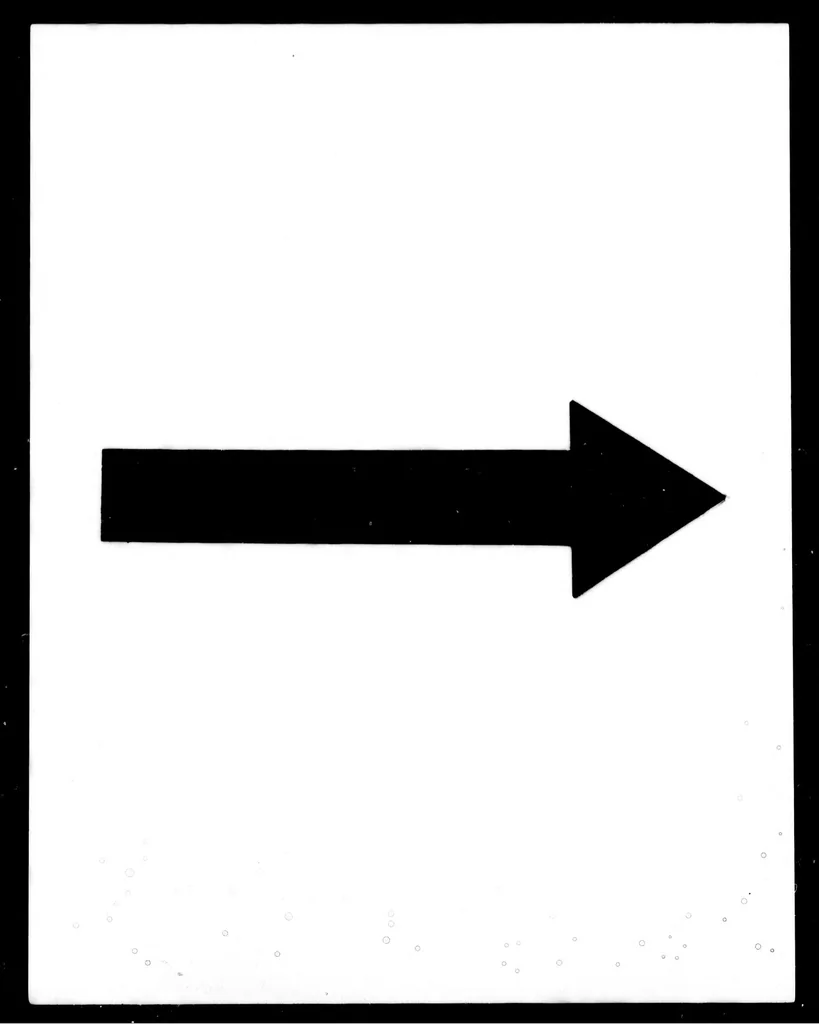 An illustration from The colour-sense [microform] : its origin and development : an essay in comparative psychology, 1892, leaf 290
