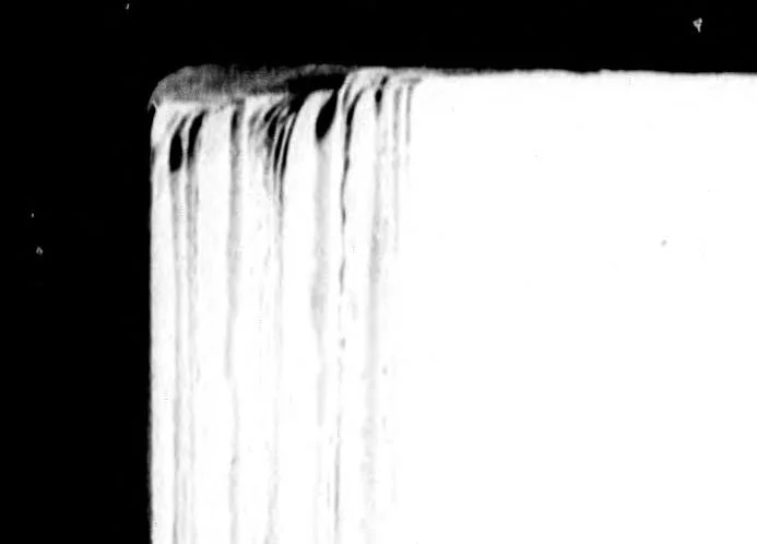 An illustration from The colour-sense [microform] : its origin and development : an essay in comparative psychology, 1892, leaf 66