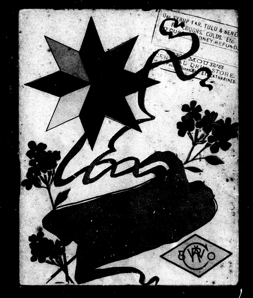 An illustration from For successful home dyeing use Diamond dyes [microform], 1900, leaf 4