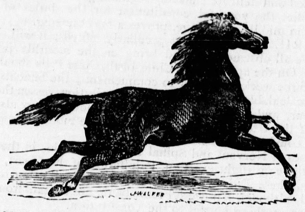 An illustration from Family recipe book [microform], 1873, leaf 23