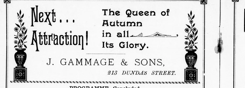 An illustration from Grand Opera House, London, Ont., programme [microform] : music, song and story, pictorially illustrated by Mr. G.H. Snazelle, Wednesday and Thursday evenings, February 13th and 14th ., 1895, leaf 15