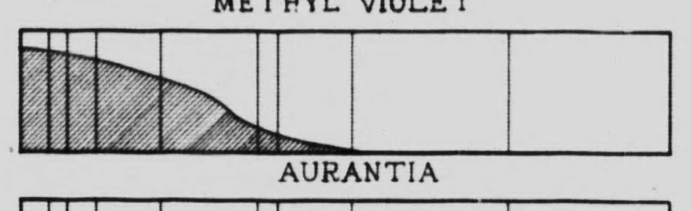 An illustration from Color values in monochrome [microform] : a lecture on orthochromatic photography delivered before the Canadian Institute, February 16th, 1901, 1901, leaf 9