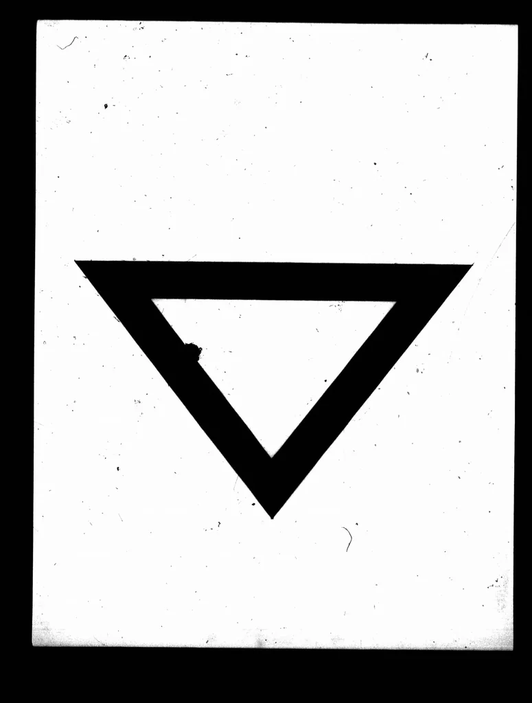 An illustration from Orbit of [Dzéta] Andromedæ [microform], 1915, leaf 207