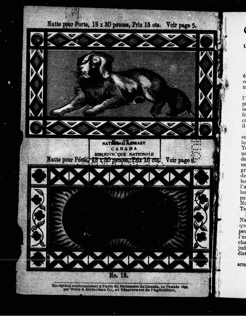 An illustration from Confection de paillassons et nattes [microforme], 1899, leaf 5
