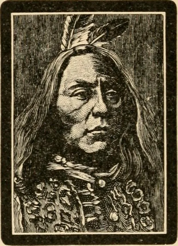An illustration from Cinch or Pedro and how to play it., 1900, leaf 1