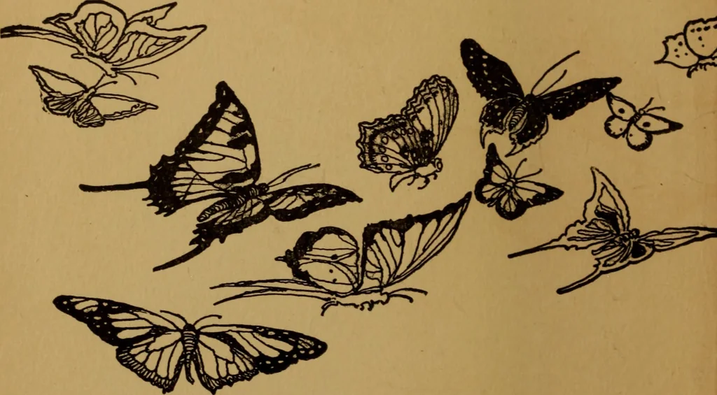 An illustration from Cinderella, or, The little glass slipper, 1908, leaf 7