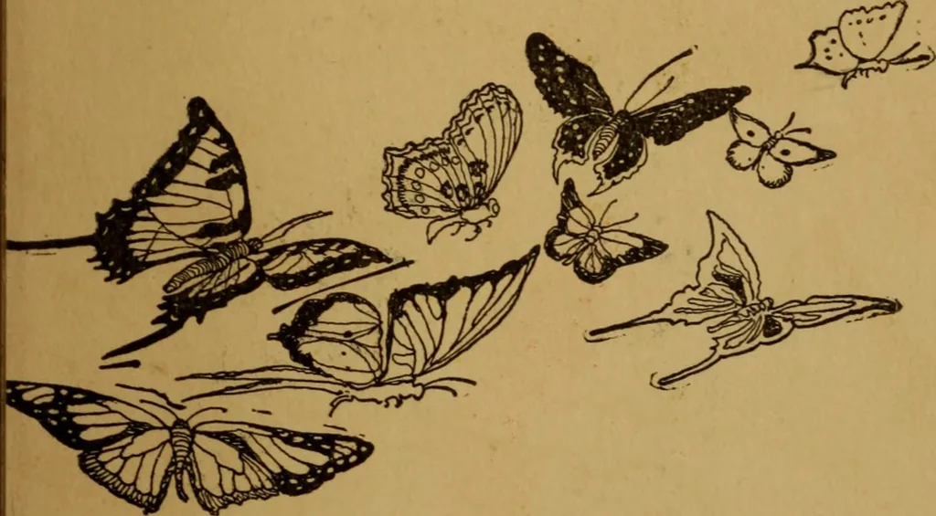 An illustration from Cinderella, or, The little glass slipper, 1908, leaf 8