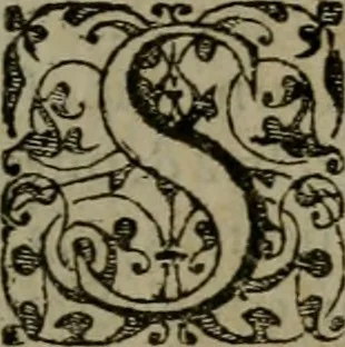 An illustration from Cinq decades, qui sont cinqvante sermons ... Contenans les principavx poincts & lieux communs de la religion chrestienne, nouuellement reueus & corrigez sur l'exemplaire Latin .., 1564, leaf 10