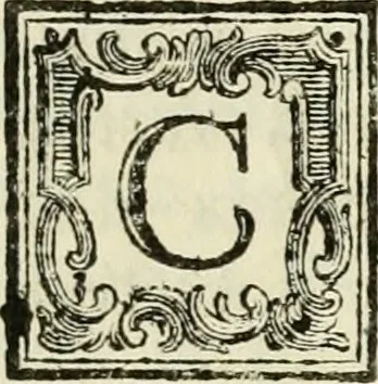 An illustration from I cinque ordini di architettura di Andrea Palladio : esposti per un' esatta istruzione di chi ama e coltiva questa billa utilissima arte, 1784, leaf 8