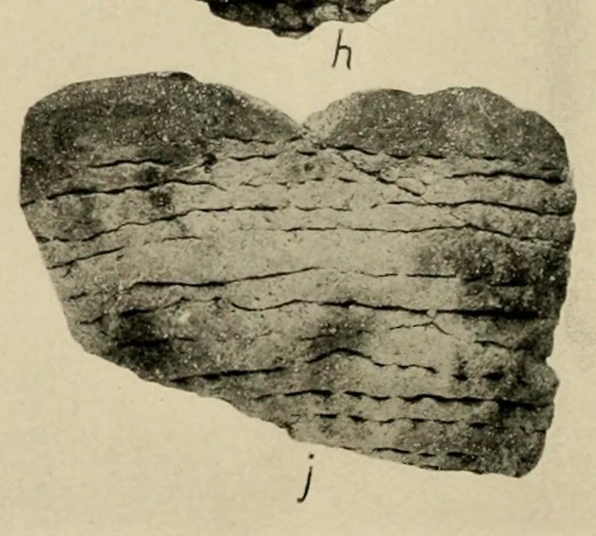 An illustration from Circular kivas near Hawikuh, New Mexico, 1923, leaf 56