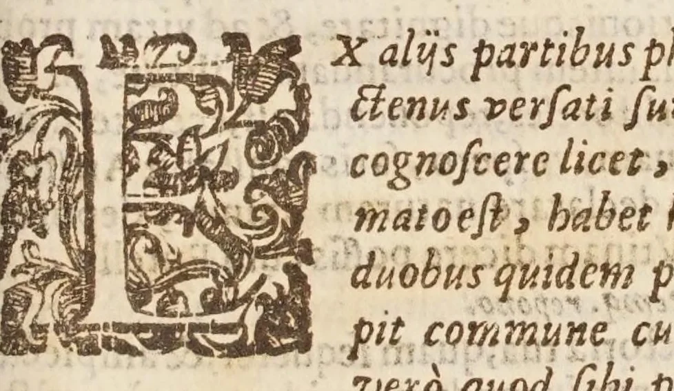 An illustration from Circulus Pisanus, 1643, leaf 623