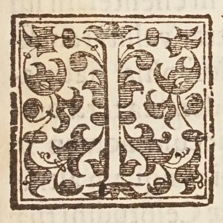 An illustration from Circulus Pisanus, 1643, leaf 9