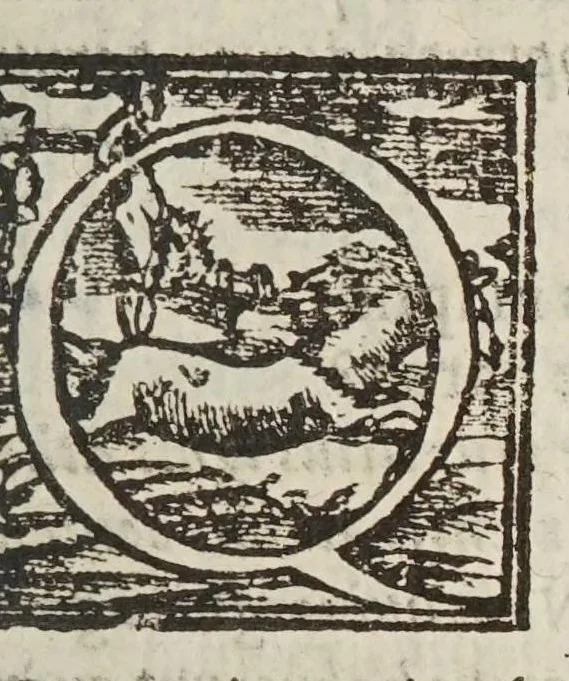 An illustration from Circulus pisanus Claudii Berigardi ... de veteri et perpatetica philosophia in Aristotelis libros octo Physicorum : quatuor De caelo : duos De ortu & interitu : quatuor De meteoris, & tres De anima .., 1661, leaf 245