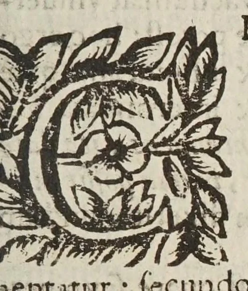 An illustration from Circulus pisanus Claudii Berigardi ... de veteri et perpatetica philosophia in Aristotelis libros octo Physicorum : quatuor De caelo : duos De ortu & interitu : quatuor De meteoris, & tres De anima .., 1661, leaf 247
