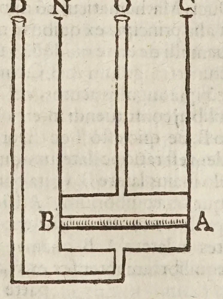 An illustration from Circulus pisanus Claudii Berigardi ... de veteri et perpatetica philosophia in Aristotelis libros octo Physicorum : quatuor De caelo : duos De ortu & interitu : quatuor De meteoris, & tres De anima .., 1661, leaf 348
