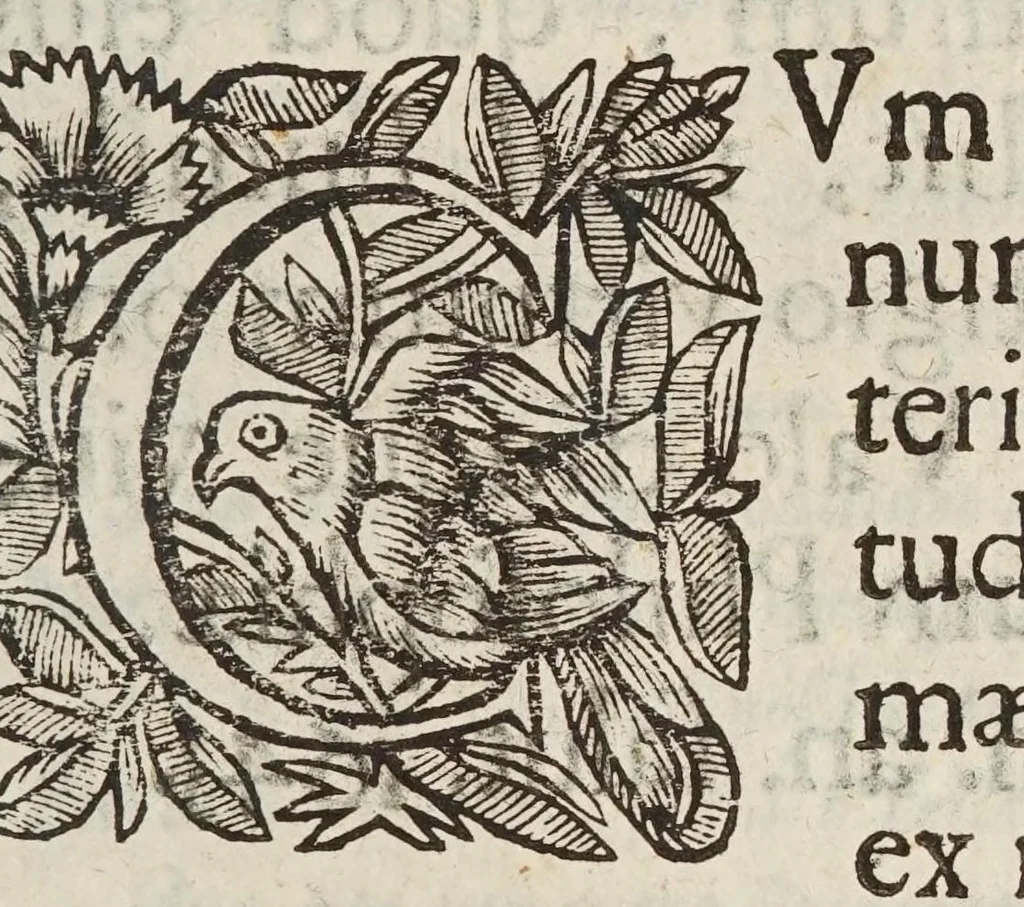 An illustration from Circulus pisanus Claudii Berigardi ... de veteri et perpatetica philosophia in Aristotelis libros octo Physicorum : quatuor De caelo : duos De ortu & interitu : quatuor De meteoris, & tres De anima .., 1661, leaf 399