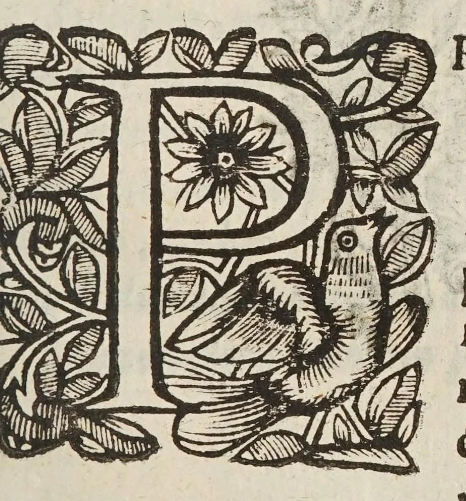 An illustration from Circulus pisanus Claudii Berigardi ... de veteri et perpatetica philosophia in Aristotelis libros octo Physicorum : quatuor De caelo : duos De ortu & interitu : quatuor De meteoris, & tres De anima .., 1661, leaf 637