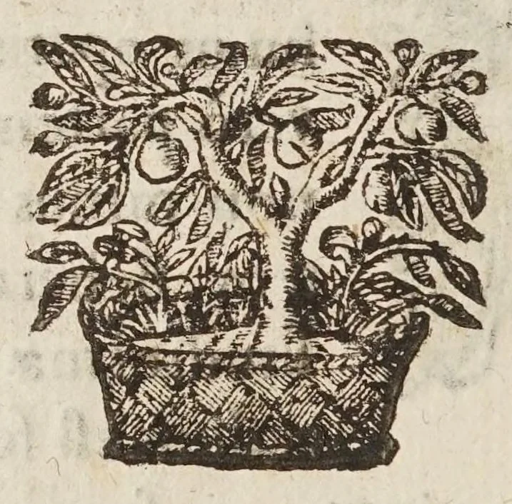 An illustration from Circulus pisanus Claudii Berigardi ... de veteri et perpatetica philosophia in Aristotelis libros octo Physicorum : quatuor De caelo : duos De ortu & interitu : quatuor De meteoris, & tres De anima .., 1661, leaf 94