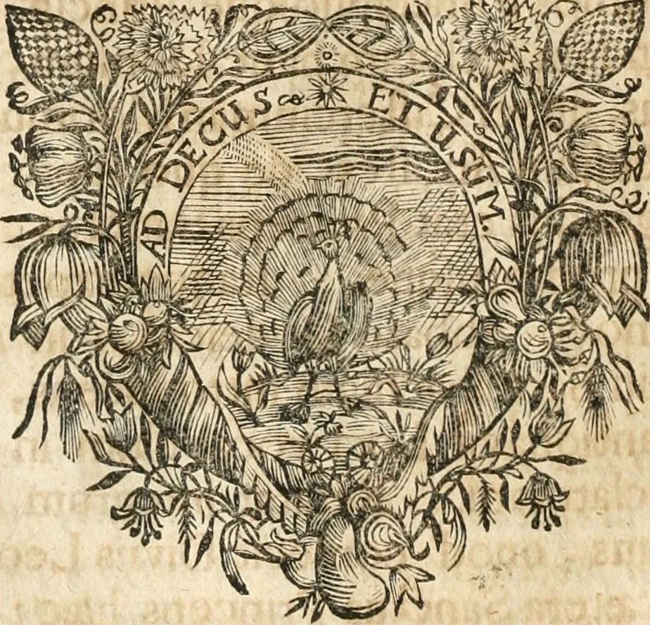 An illustration from Cistercium bis-tertium seu Historia elogialis, in qua sacerrimi ordinis cisterciensis anno Domini 1698 à sui origine sexies, seu bis-ter saecularis primordia, incrementa, praeclara gesta ... connexiones cum religiosis ordinibus, coenobiorum series per terras austriacas ., 1700, leaf 1125