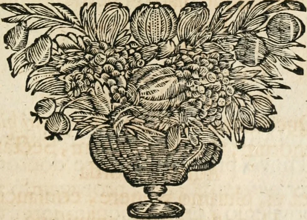 An illustration from Cistercium bis-tertium seu Historia elogialis, in qua sacerrimi ordinis cisterciensis anno Domini 1698 à sui origine sexies, seu bis-ter saecularis primordia, incrementa, praeclara gesta ... connexiones cum religiosis ordinibus, coenobiorum series per terras austriacas ., 1700, leaf 538